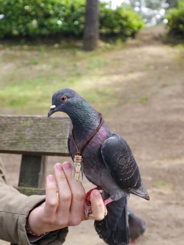 A homing pigeon wearing a message vial, the cover animal of HD Map Handbook.
